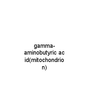 gamma-aminobutyric acid(mitochondrion)